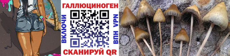 Купить где  Карабаново  Псилоцибиновые грибы прущие грибы 