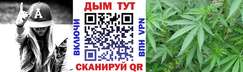 Каннабис конопля  Купить где  Карабаново 